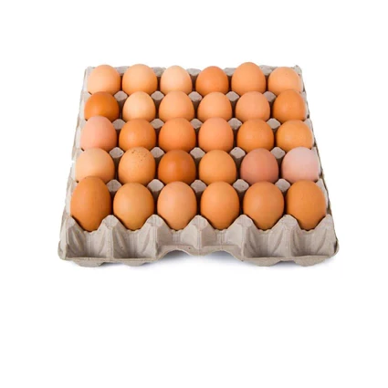Amagi, Eggs Tray Pondeuse/30pcs